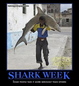 Click image for larger version. 

Name:	shark-week.jpg 
Views:	39 
Size:	39.4 KB 
ID:	5742