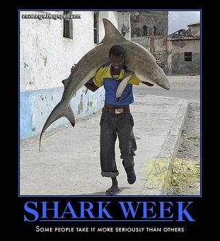 Click image for larger version. 

Name:	shark-week.jpg 
Views:	40 
Size:	39.4 KB 
ID:	5742