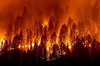 Click image for larger version. 

Name:	CaliforniaWildfires.jpg 
Views:	15 
Size:	95.2 KB 
ID:	18821