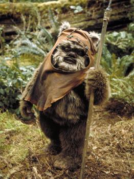 Click image for larger version. 

Name:	Wicket_RotJ.jpg 
Views:	42 
Size:	17.0 KB 
ID:	11570