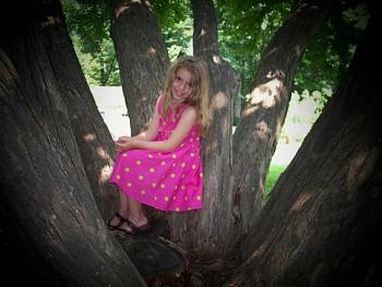 Nancy in tree - just a great pic, IMO