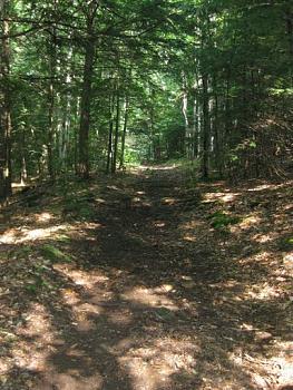 The damned trail I hauled that stupid cooler up