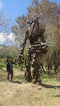 Click image for larger version. 

Name:	treebeard.jpg 
Views:	28 
Size:	95.8 KB 
ID:	14040